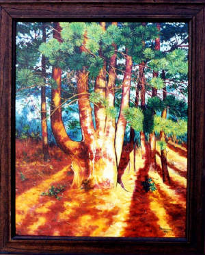 Pine Tree