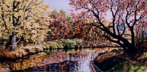 lacrosseriver.jpg